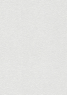 2398-15 Обои A.S. Creation Antivandal