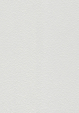 5752-10 Обои A.S. Creation Antivandal