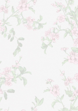 ST001 Обои Loymina Satori 2