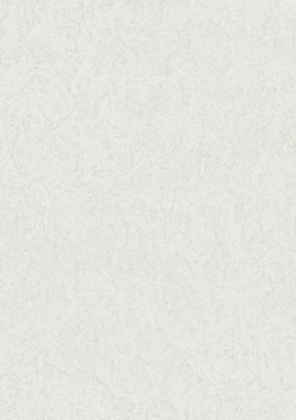 60118-1 Обои Bruno Zoff (Silver)