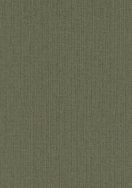 407945 Обои Rasch Kimono
