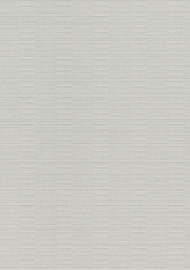 960921 Обои Rasch Axiom