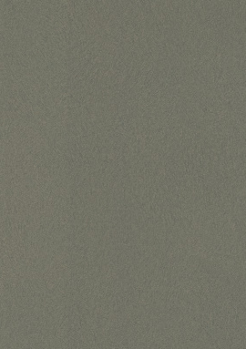 418668 Обои Rasch Club