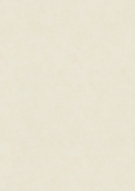32424 Обои Marburg (Shades) (1*12) 10,05x0,53 винил на флизелине