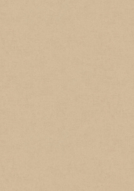 36890-5 Обои As Creation Accent 1,06x10.05
