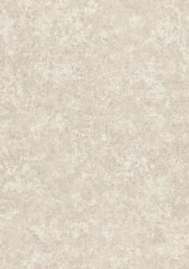 974621 Обои Rasch Trend 1.06x10.05