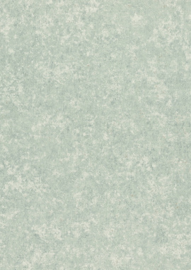 974645 Обои Rasch Trend 1.06x10.05