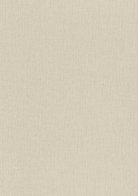 975543 Обои Rasch Trend 1.06x10.05