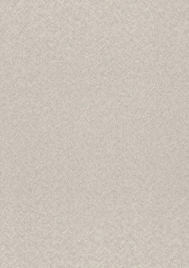 975321 Обои Rasch Trend 1.06x10.05
