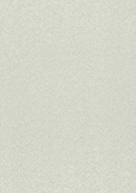 975338 Обои Rasch Trend 1.06x10.05