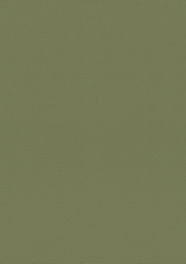 687538 Обои Rasch Natural Colors 0.53x10.05