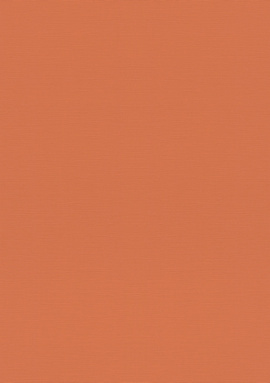 687569 Обои Rasch Natural Colors 0.53x10.05