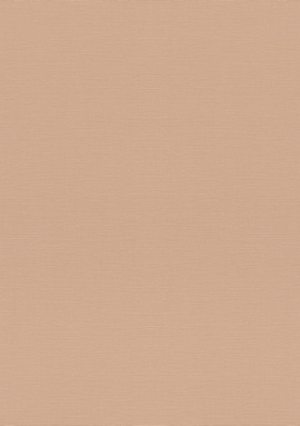 687576 Обои Rasch Natural Colors 0.53x10.05
