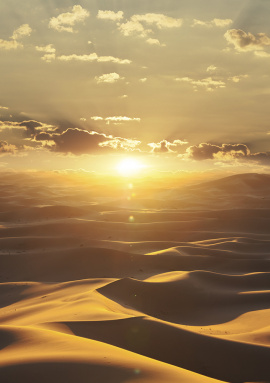 32545 Панно Marburg (Dune) (1*6) 2,70 x 2,12 винил на флизелине