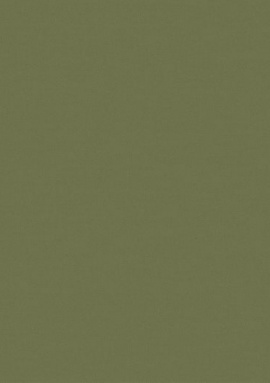 ALS8005/1 Обои Loymina Origins 1x10.05