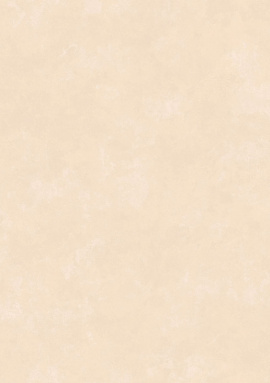 TDG7002/2 Обои Loymina Golden Library 1x10.05