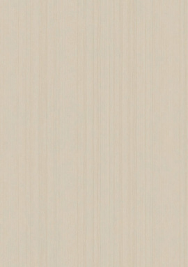 ARTS4 003  Обои Artsimple (Mozart) (1*6) 10,05x1,00 флизелин