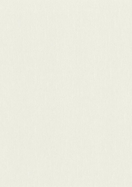 979350 Обои Rasch Wall Textures Xl III 1.06x10.05