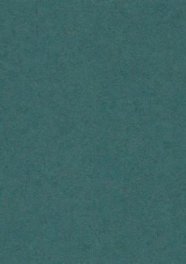 ER12187-19 Обои Эрисманн Fashion For Walls 4 10,05x1,06