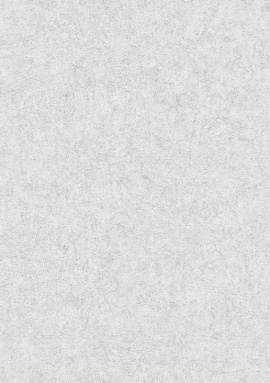 ER12187-31 Обои Эрисманн Fashion For Walls 4 10,05x1,06