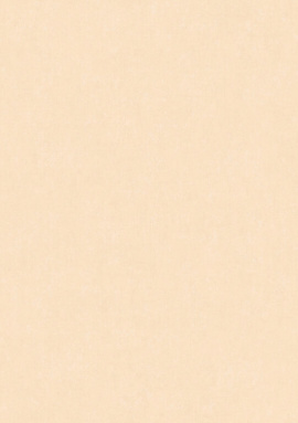 ARTS13 001/2 Обои Artsimple (Valley) (1*6) 10,05x1,00 флизелин