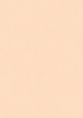ARTS13 001/4 Обои Artsimple (Valley) (1*6) 10,05x1,00 флизелин