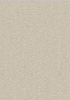 654721 Обои Wall Up Sherlock 1.06x10.05