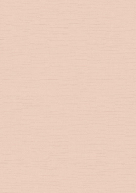 TXL4007/1 Обои Флизелин Textile 1x10,5