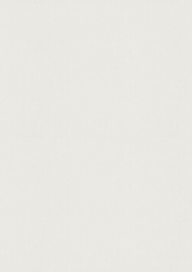 ER12205-01 Обои Erismann Spotlight 2 1.06x10.05