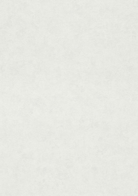ER12214-31 Обои Erismann Spotlight 2 1.06x10.05