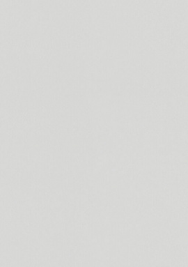 A100211 Обои ARTSIMPLE (Mixture) (1*6) 10,00x1,06 винил на флизелине