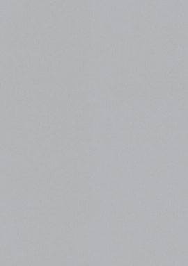 A100214 Обои ARTSIMPLE (Mixture) (1*6) 10,00x1,06 винил на флизелине