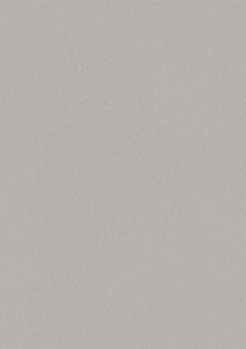 A100312 Обои ARTSIMPLE (Mixture) (1*6) 10,00x1,06 винил на флизелине