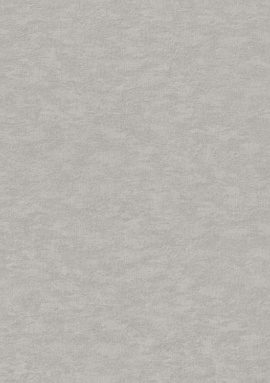 964837 Обои Rasch Wall Textures Xl III 1.06x10.05