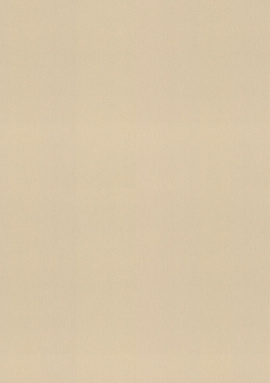 977608 Обои Rasch Florentine Incanto 1.06x10.05
