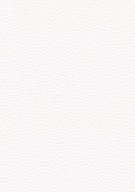 9021 Обои Marburg (Patent Decor Laser) (1*12) 10,05x0,53 винил на флизелине