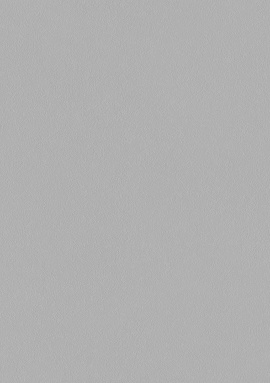A100316 Обои ARTSIMPLE (Mixture) (1*6) 10,00x1,06 винил на флизелине