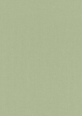 423938 Обои Rasch (Allegretto) (1*12) 10,05x0,53 винил на флизелине