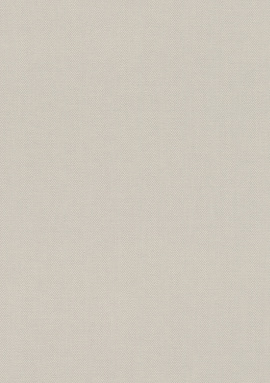 542479 Обои Rasch (Allegretto) (1*12) 10,05x0,53 винил на флизелине