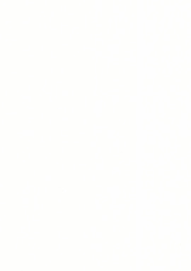 9869 Обои Marburg Patent Decor