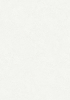 R135131 Обои Grandeco (Infinity 3/Oasis) (1*6) 10,05х1,06 винил на флизелине