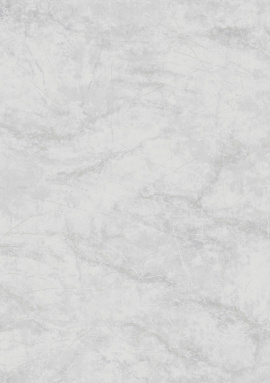 R165113 Обои Grandeco (Originale) (1*6) 10,05х1,06 винил на флизелине