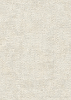 32419 Обои Marburg (Shades) (1*12) 10,05x0,53 винил на флизелине