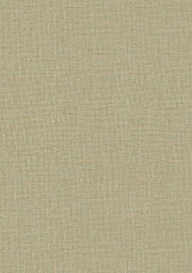 15506 Обои Zambaiti (Mini Trend) (1*6) 10,05x0,53 винил на флизелине