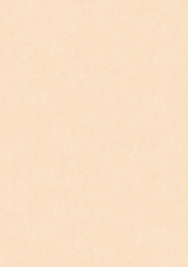 ARTS13 001/2 Обои Artsimple (Valley) (1*6) 10,05x1,00 флизелин