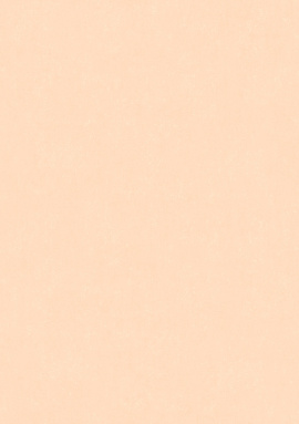 ARTS13 001/4 Обои Artsimple (Valley) (1*6) 10,05x1,00 флизелин