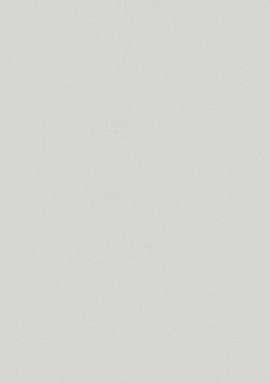 A100113 Обои ARTSIMPLE (Mixture) (1*6) 10,00x1,06 винил на флизелине
