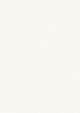 A100301 Обои ARTSIMPLE (Mixture) (1*6) 10,00x1,06 винил на флизелине