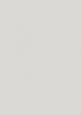 A100310 Обои ARTSIMPLE (Mixture) (1*6) 10,00x1,06 винил на флизелине