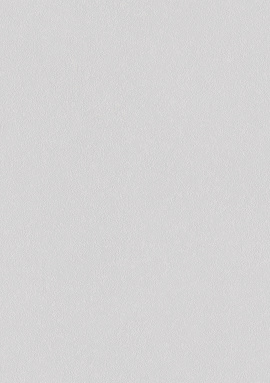 A100315 Обои ARTSIMPLE (Mixture) (1*6) 10,00x1,06 винил на флизелине